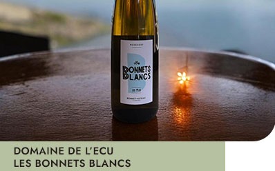 VIN DU MOIS